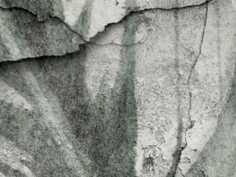 Fototapeta Liście na betonowej ścianie fragment # 1