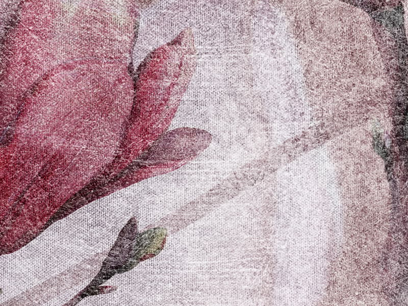 Fototapeta Kwitnące kwiaty magnolii fragment # 1