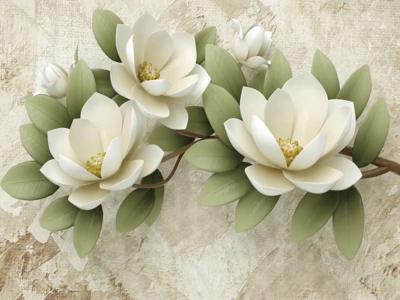 Fototapeta Piękne białe kwiaty