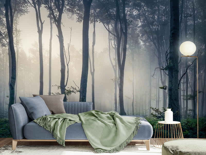 Fototapeta Piękny las we mgle we wnętrzu salonu