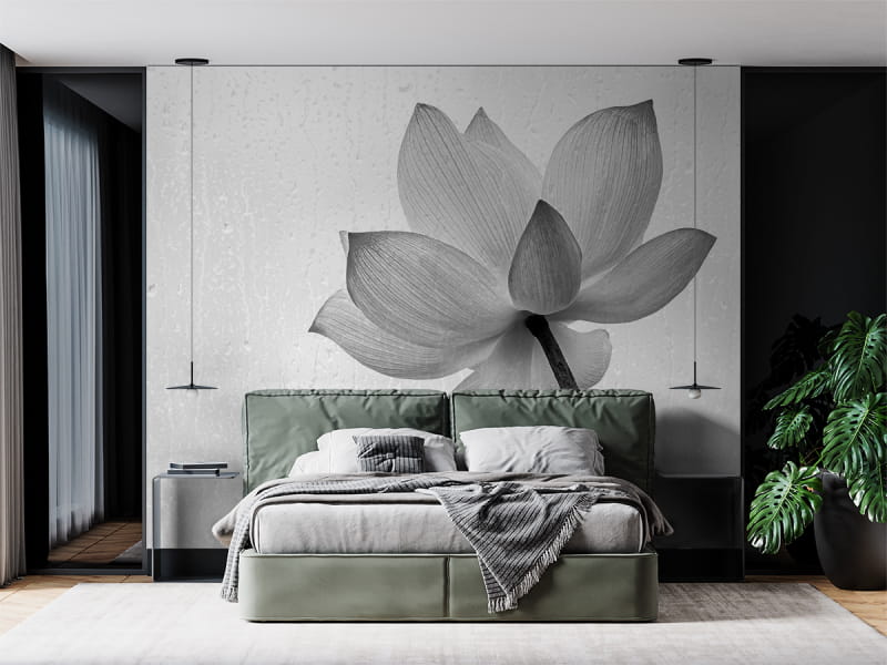 Fototapeta Magnolia czarno-biała we wnętrzu sypialni