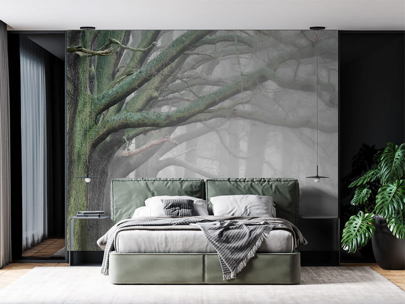 Fototapeta Mityczne drzewa we wnętrzu sypialni