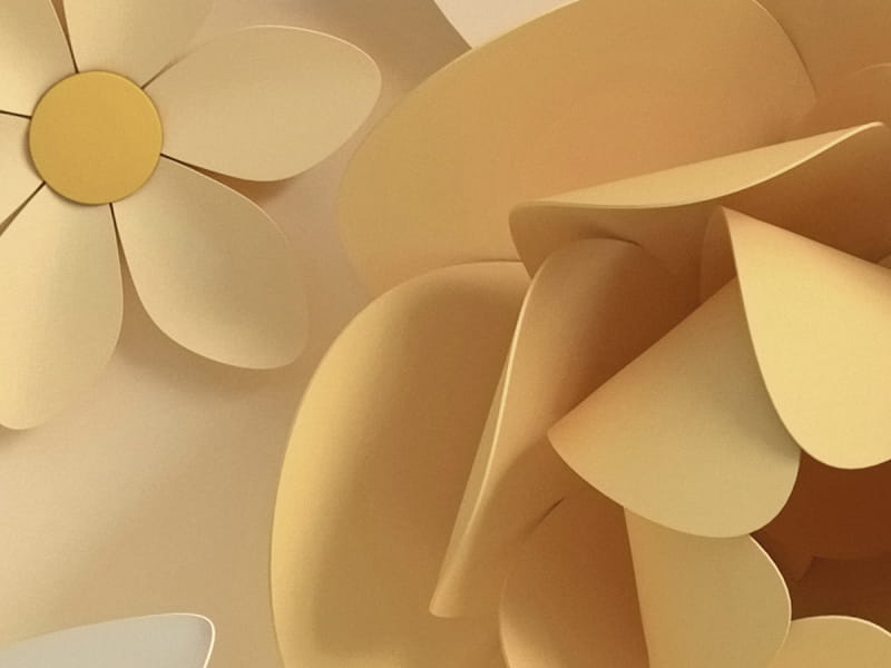 Fototapeta Kwiaty żółte 3D fragment # 1
