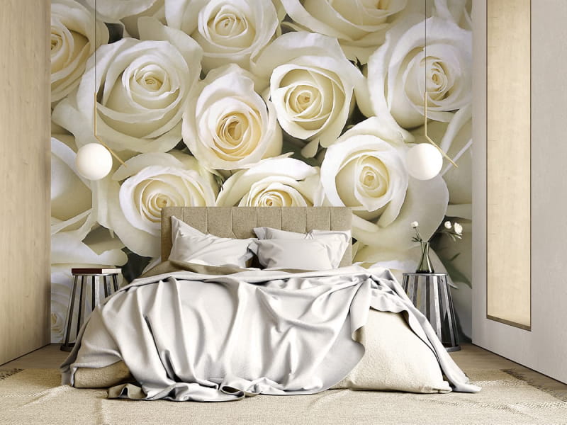 Fototapeta Biała Róża we wnętrzu sypialni