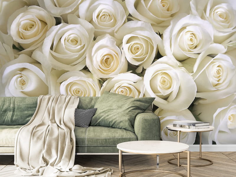 Fototapeta Biała Róża we wnętrzu salonu