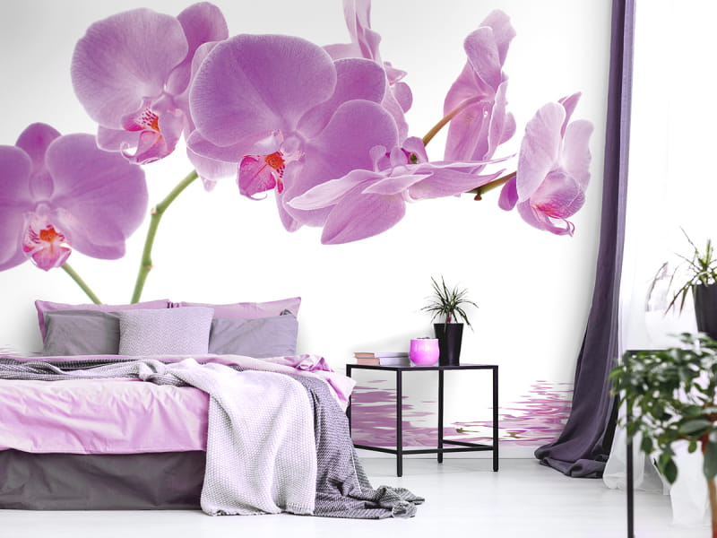 Fototapeta Różowe storczyki we wnętrzu sypialni