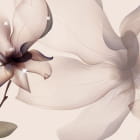 Miniatura fototapety Magnolia grafika