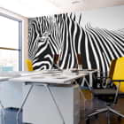 Miniatura fototapety Zebra grafika we wnętrzu biura