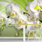 Miniatura fototapety Orchidee na zielonym tle we wnętrzu kuchni