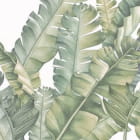 Miniatura fototapety Wzór tropikalnych liści