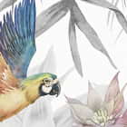 Miniatura fototapety Papugi w dżungli fragment #2