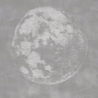 Miniatura fototapety Wypukły księżyc