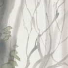Miniatura fototapety Nagie drzewa we mgle fragment # 1