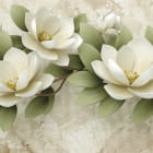 Miniatura fototapety Piękne białe kwiaty