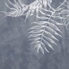 Miniatura fototapety Białe liście