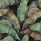 Miniatura fototapety Tropikalne liście bananowca