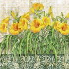 Miniatura fototapety Żółte lilie