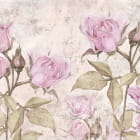 Miniatura fototapety Jasnoróżowe róże