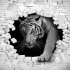 Miniatura fototapety Tygrys 3D