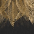 Miniatura fototapety Złote liście palmy
