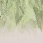 Miniatura fototapety Zielone liście palm