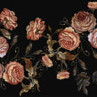 Miniatura fototapety Delikatne róże, rysunek