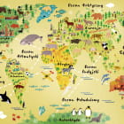 Miniatura fototapety Wielobarwna mapa i zwierzęta