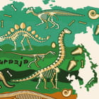 Miniatura fototapety Zielona mapa i dinozaury fragment #2