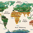 Miniatura fototapety Zielona mapa i dinozaury