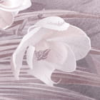 Miniatura fototapety Liście palmowe na różowym tle fragment #2