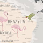 Miniatura fototapety Zwierzęta na beżowej mapie świata fragment # 1