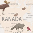 Miniatura fototapety Zwierzęta na beżowej mapie świata fragment #2