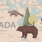 Miniatura fototapety Mapa świata ze zwierzętami i balonami fragment # 1