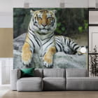 Miniatura fototapety Potężny tygrys we wnętrzu salonu
