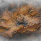 Miniatura fototapety Pomarańczowy duży kwiat na szarym tle