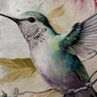 Miniatura fototapety Najpiękniejsze kolibry na jasnym tle fragment # 1