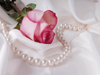 Fototapeta Róża i perła