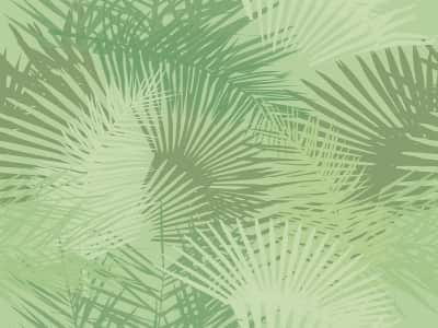 Fototapeta Gałązki liści palmowych