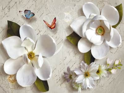 Fototapeta Biała magnolia 3D