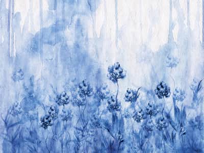 Fototapeta Chabrowe niebieskie kwiaty