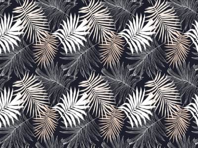 Fototapeta Suche liście palmowe