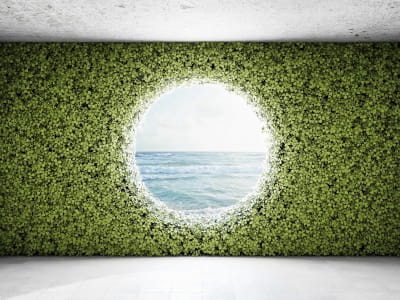 Fototapeta Morze za zieloną ścianą