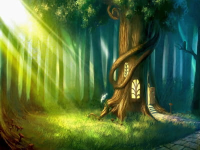 Fototapeta Świt w magicznym lesie