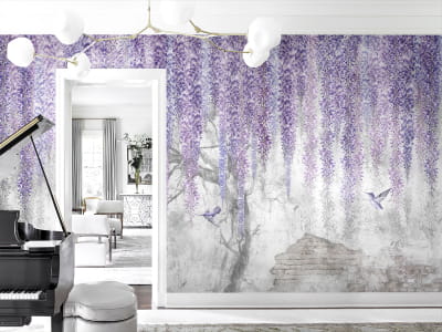 Fototapeta Kwitnąca fioletowa wisteria