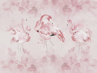 Fototapeta Piękno flaminga