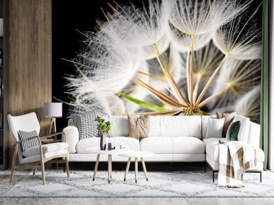 Fototapeta Bujne makro mniszka lekarskiego - mojatapeta.pl