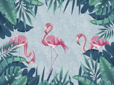 Fototapeta Piękne różowe flamingi
