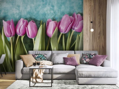 Fototapeta Liliowe tulipany - mojatapeta.pl