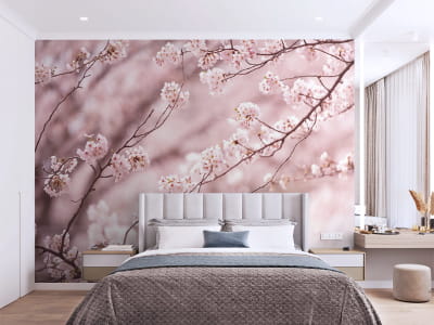 Fototapeta Sakura różowy - mojatapeta.pl