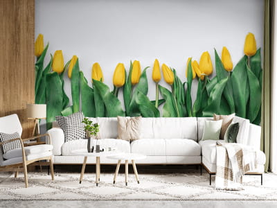 Fototapeta Delikatne żółte tulipany - mojatapeta.pl Fototapeta Delikatne żółte tulipany - mojatapeta.pl